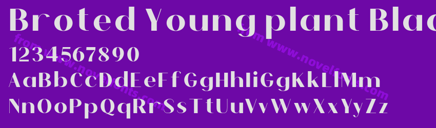 Broted Young plant BlackPreview Broted Young plant BlackPreview