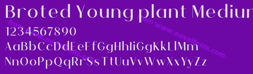 Broted Young plant MediumPreview Broted Young plant MediumPreview