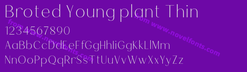 Broted Young plant ThinPreview Broted Young plant ThinPreview