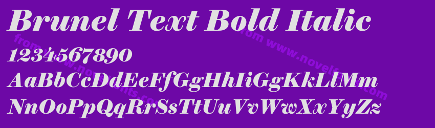 Brunel Text Bold ItalicPreview Brunel Text Bold ItalicPreview