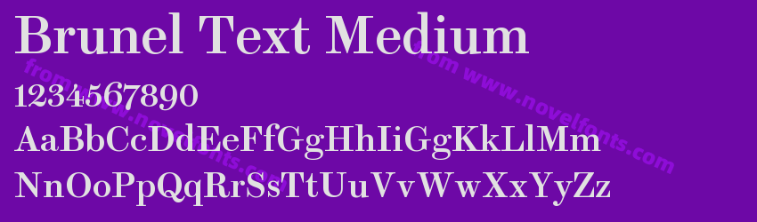 Brunel Text MediumPreview