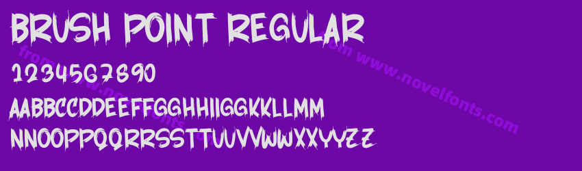 Brush Point RegularPreview Brush Point RegularPreview