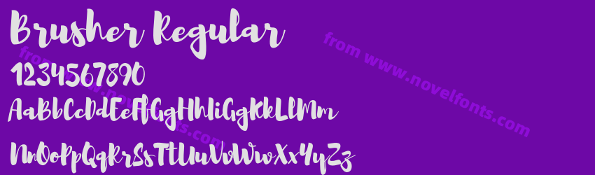 Brusher RegularPreview Brusher RegularPreview