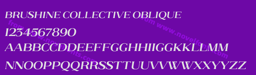Brushine Collective ObliquePreview Brushine Collective ObliquePreview
