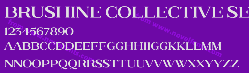 Brushine Collective SerifPreview Brushine Collective SerifPreview
