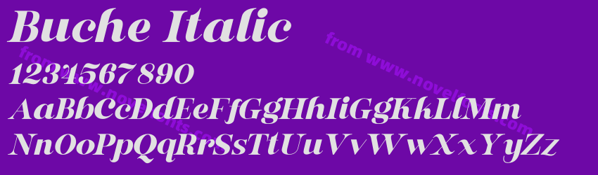 Buche ItalicPreview Buche ItalicPreview