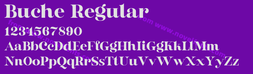 Buche RegularPreview Buche RegularPreview