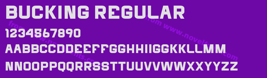 Bucking RegularPreview Bucking RegularPreview