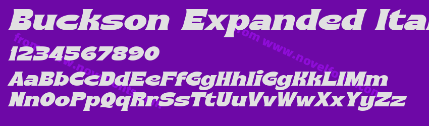 Buckson Expanded ItalicPreview Buckson Expanded ItalicPreview