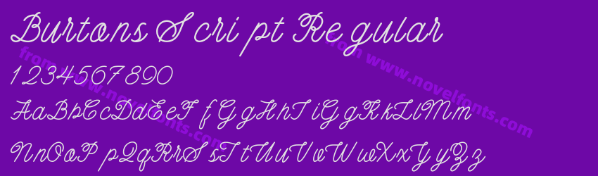 Burtons Script RegularPreview
