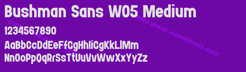 Bushman Sans W05 MediumPreview Bushman Sans W05 MediumPreview