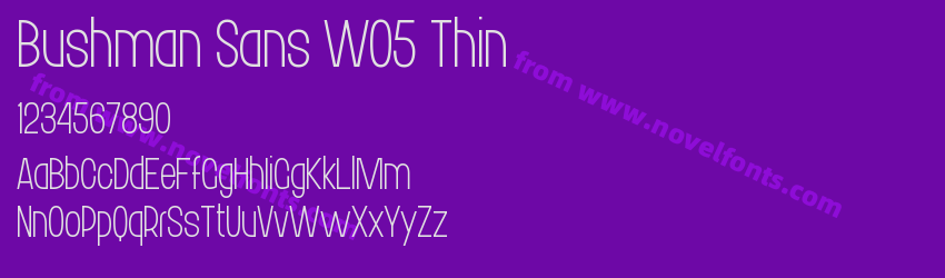 Bushman Sans W05 ThinPreview Bushman Sans W05 ThinPreview