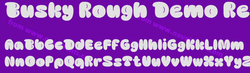Busky Rough Demo RegularPreview Busky Rough Demo RegularPreview