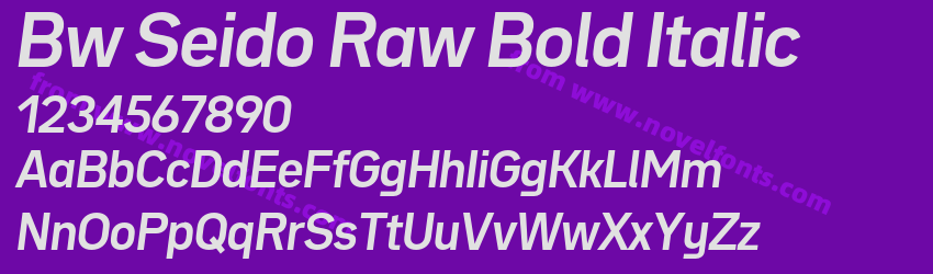 Bw Seido Raw Bold ItalicPreview Bw Seido Raw Bold ItalicPreview