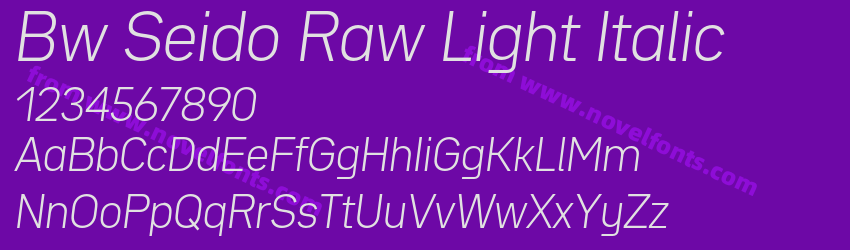 Bw Seido Raw Light ItalicPreview