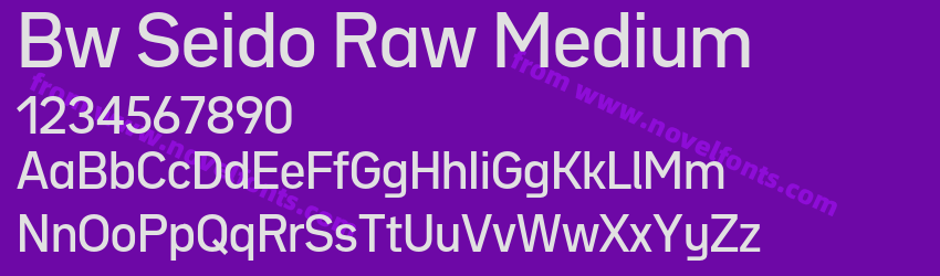 Bw Seido Raw MediumPreview Bw Seido Raw MediumPreview