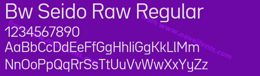 Bw Seido Raw RegularPreview Bw Seido Raw RegularPreview
