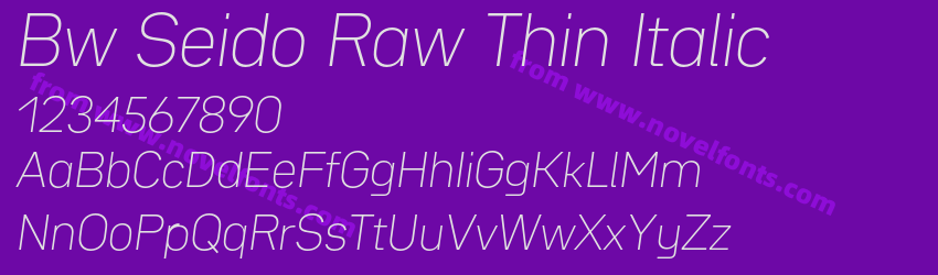 Bw Seido Raw Thin ItalicPreview Bw Seido Raw Thin ItalicPreview