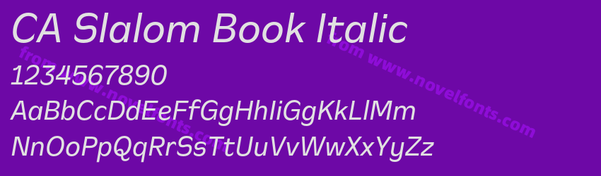 CA Slalom Book ItalicPreview CA Slalom Book ItalicPreview