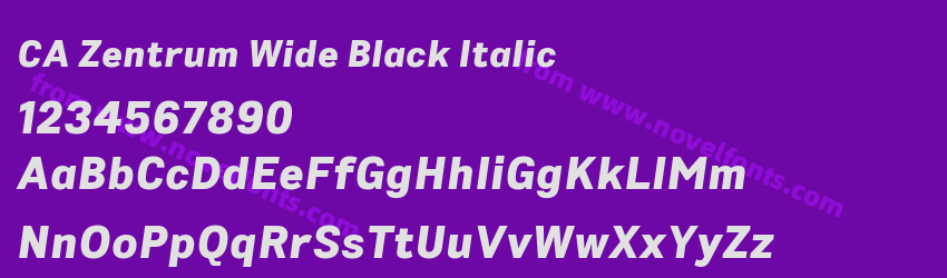 CA Zentrum Wide Black ItalicPreview