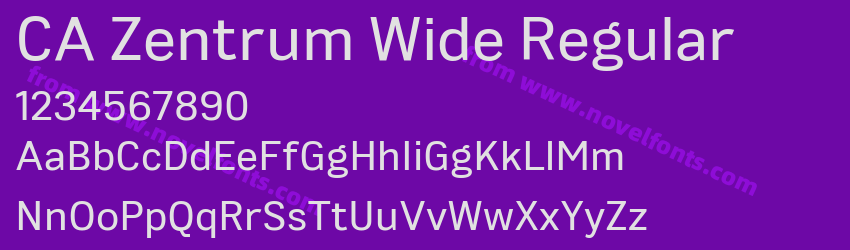 CA Zentrum Wide RegularPreview