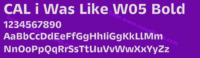 CAL i Was Like W05 BoldPreview