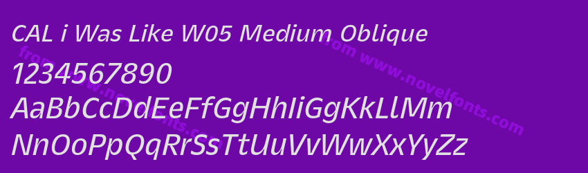 CAL i Was Like W05 Medium ObliquePreview CAL i Was Like W05 Medium ObliquePreview