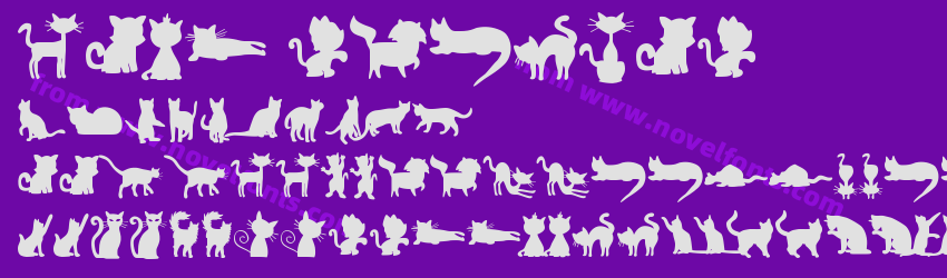 CATS RegularPreview CATS RegularPreview