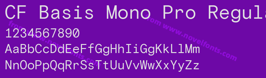 CF Basis Mono Pro RegularPreview