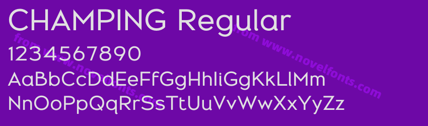 CHAMPING RegularPreview CHAMPING RegularPreview