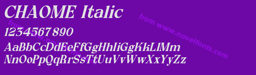 CHAOME ItalicPreview CHAOME ItalicPreview