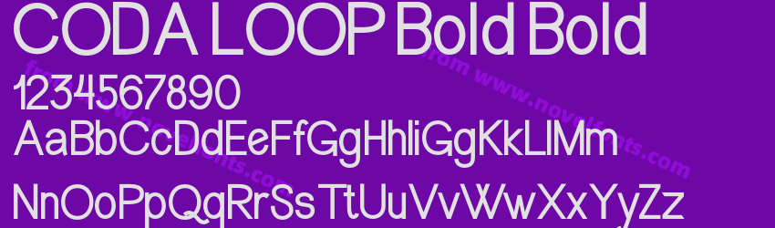 CODA LOOP BoldPreview CODA LOOP BoldPreview