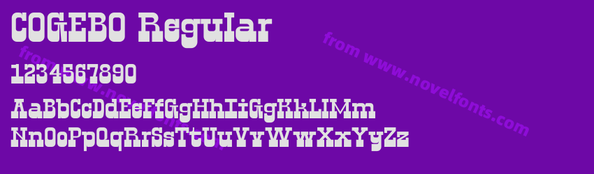 COGEBO RegularPreview COGEBO RegularPreview