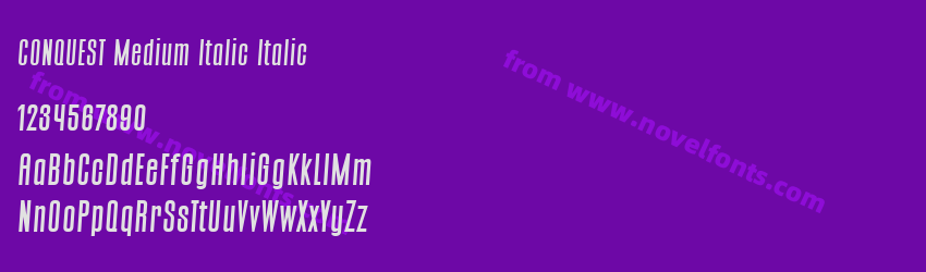CONQUEST Medium Italic ItalicPreview CONQUEST Medium Italic ItalicPreview
