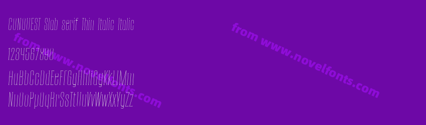 CONQUEST Slab serif Thin Italic ItalicPreview