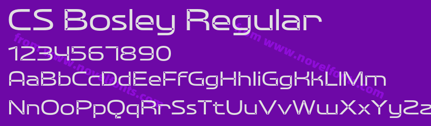 CS Bosley RegularPreview CS Bosley RegularPreview