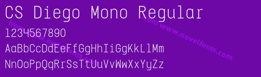 CS Diego Mono RegularPreview