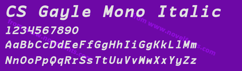 CS Gayle Mono ItalicPreview