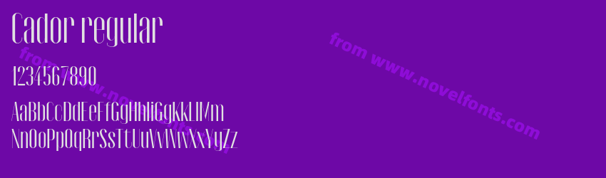 Cador regularPreview Cador regularPreview
