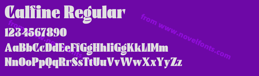 Calfine RegularPreview Calfine RegularPreview