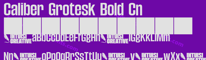 Caliber Grotesk Bold CnPreview