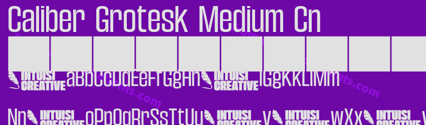 Caliber Grotesk Medium CnPreview