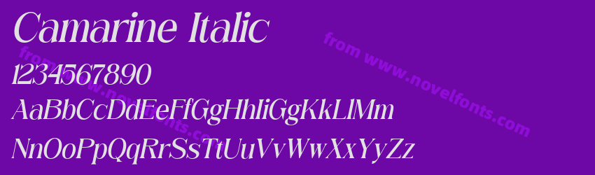 Camarine ItalicPreview Camarine ItalicPreview