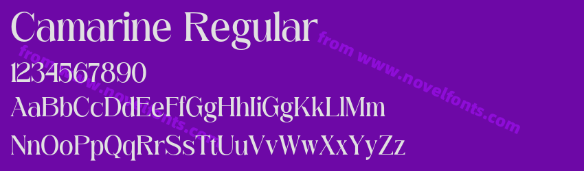 Camarine RegularPreview Camarine RegularPreview