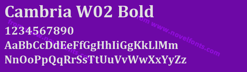 Cambria W02 BoldPreview