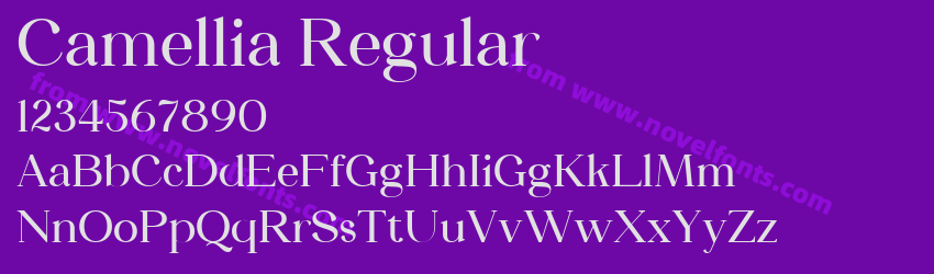 Camellia RegularPreview Camellia RegularPreview