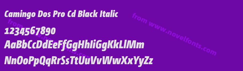 Camingo Dos Pro Cd Black ItalicPreview Camingo Dos Pro Cd Black ItalicPreview