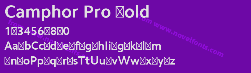 Camphor Pro BoldPreview Camphor Pro BoldPreview