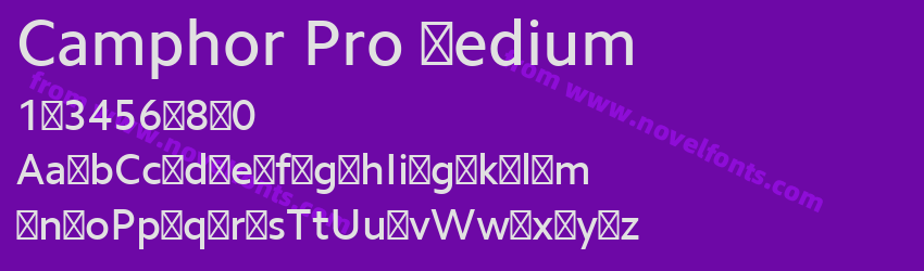 Camphor Pro MediumPreview