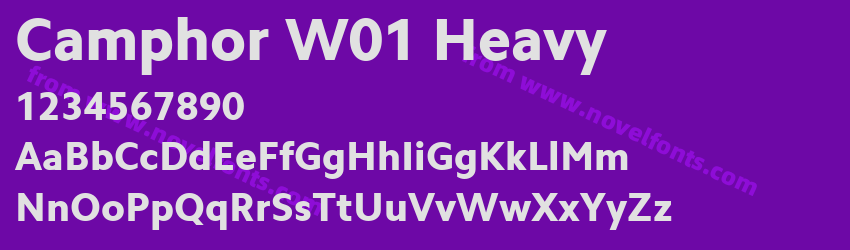 Camphor W01 HeavyPreview